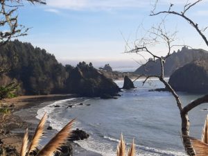 Beaches Near Redwood National Park 