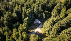 Redwood Rentals