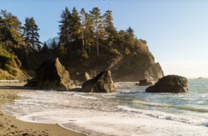 beaches near redwood national park 