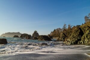 beaches near redwood national park 